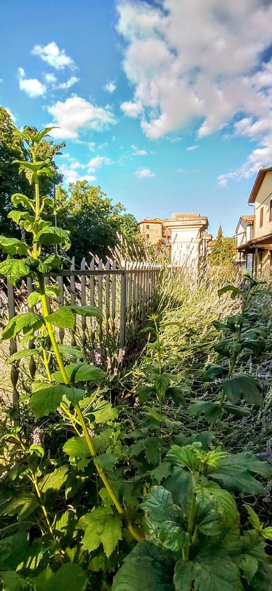 Villa Elvira Ambra Zewnętrze zdjęcie