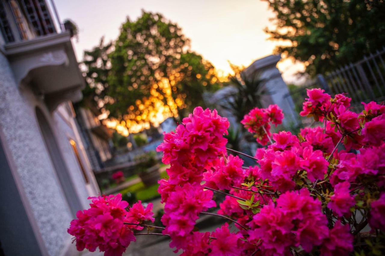 Villa Elvira Ambra Zewnętrze zdjęcie